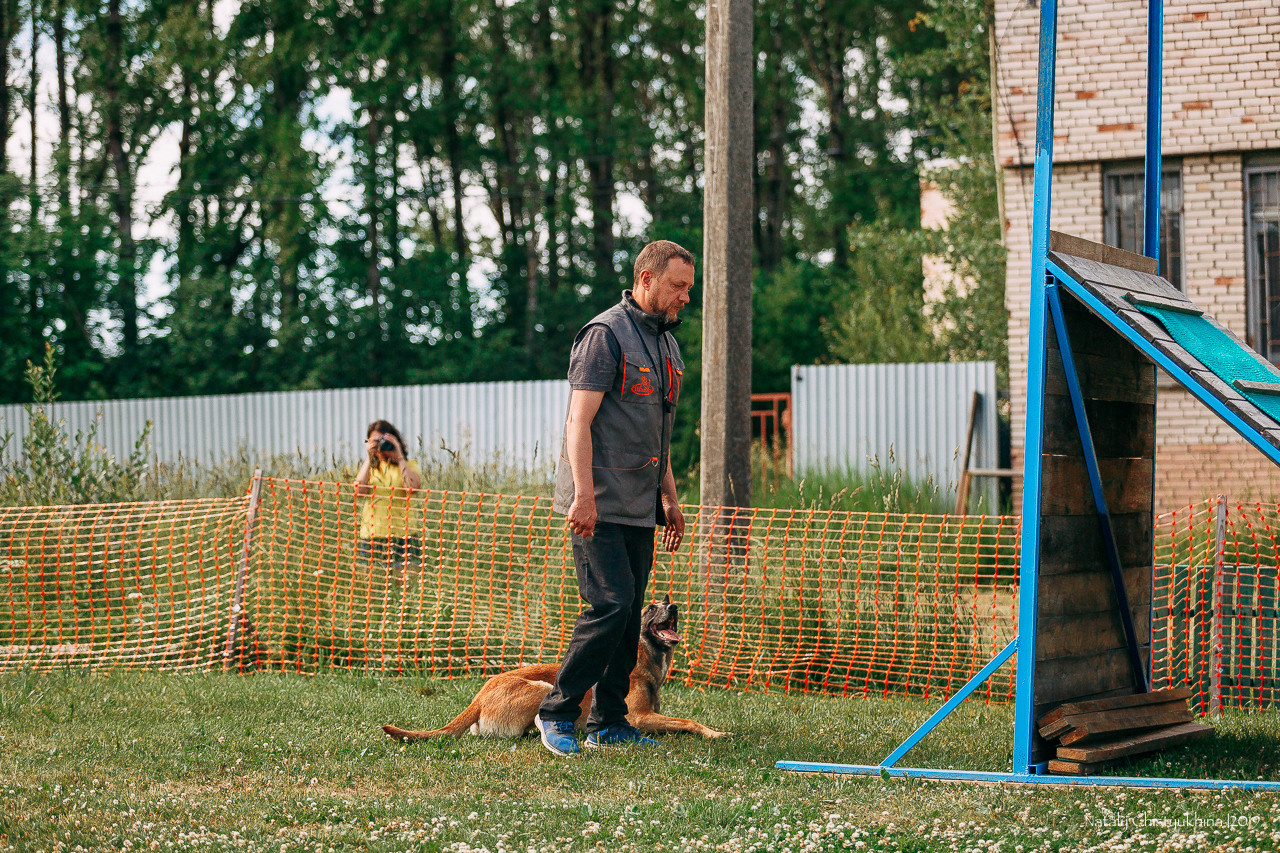 Соревнования по мондьорингу. Фотограф-анималист Наталия Чистюхина в г. Сосновый Бор и ЛО