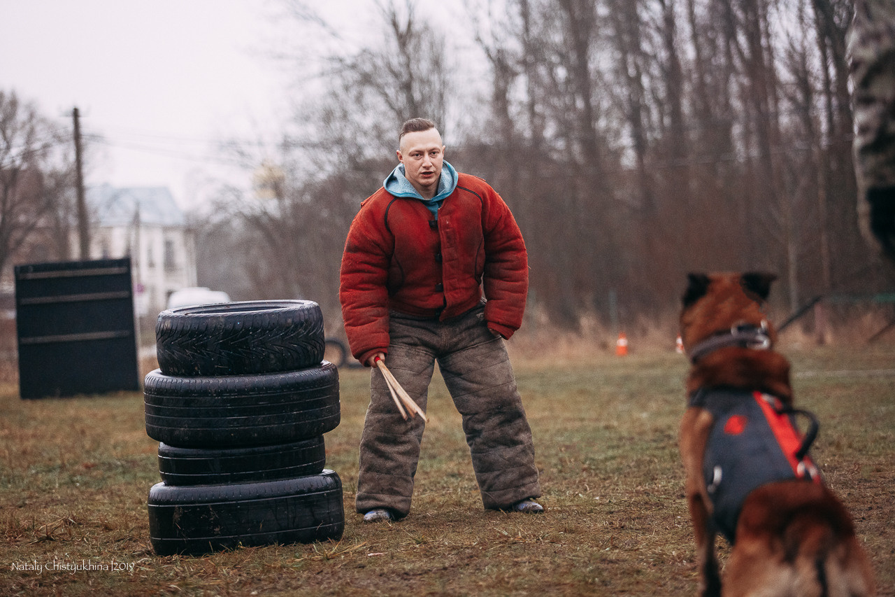 Семинары по мондио. Фотограф-анималист Наталия Чистюхина в г. Сосновый Бор и ЛО