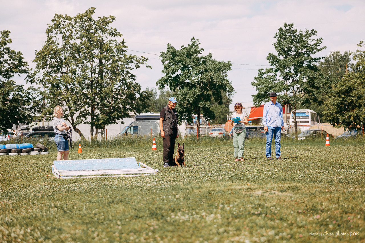 Соревнования по мондьорингу. Фотограф-анималист Наталия Чистюхина в г. Сосновый Бор и ЛО