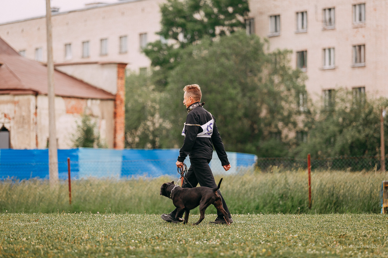 Соревнования БРР. Фотограф-анималист Наталия Чистюхина в г. Сосновый Бор и ЛО