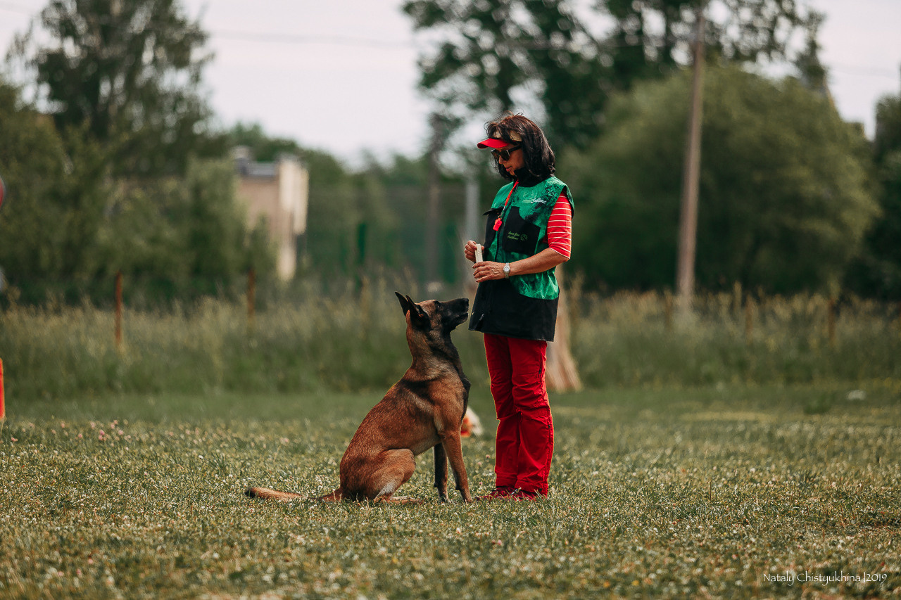 Соревнования по мондьорингу. Фотограф-анималист Наталия Чистюхина в г. Сосновый Бор и ЛО
