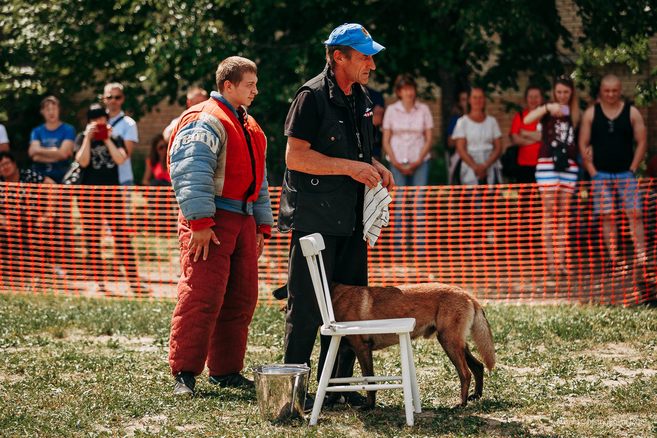 Соревнования по мондьорингу. Фотограф-анималист Наталия Чистюхина в г. Сосновый Бор и ЛО