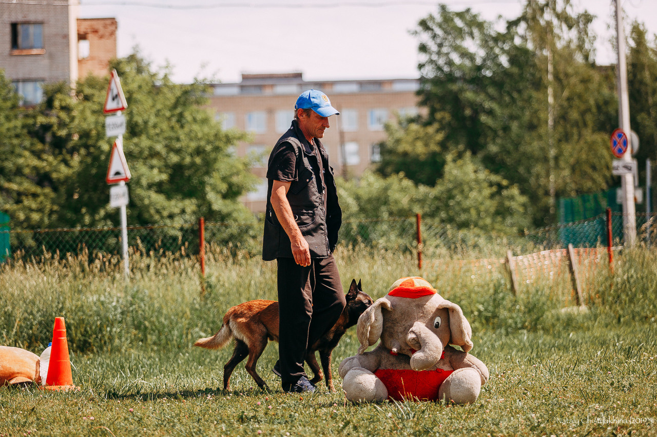 Соревнования по мондьорингу. Фотограф-анималист Наталия Чистюхина в г. Сосновый Бор и ЛО