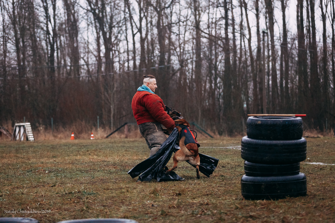 Семинары по мондио. Фотограф-анималист Наталия Чистюхина в г. Сосновый Бор и ЛО