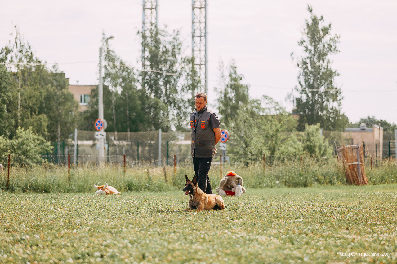 Соревнования по мондьорингу. Фотограф-анималист Наталия Чистюхина в г. Сосновый Бор и ЛО