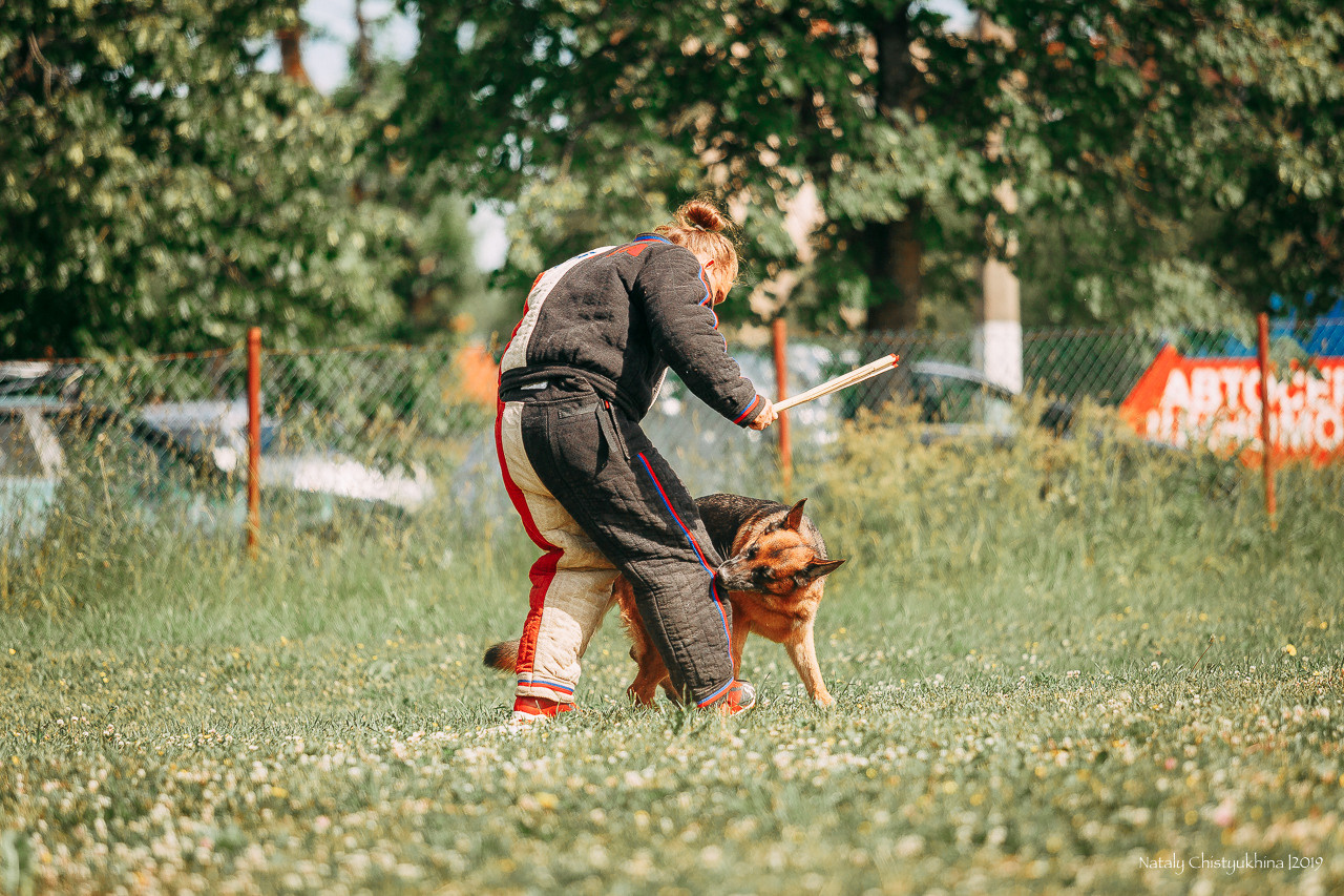 Соревнования по мондьорингу. Фотограф-анималист Наталия Чистюхина в г. Сосновый Бор и ЛО