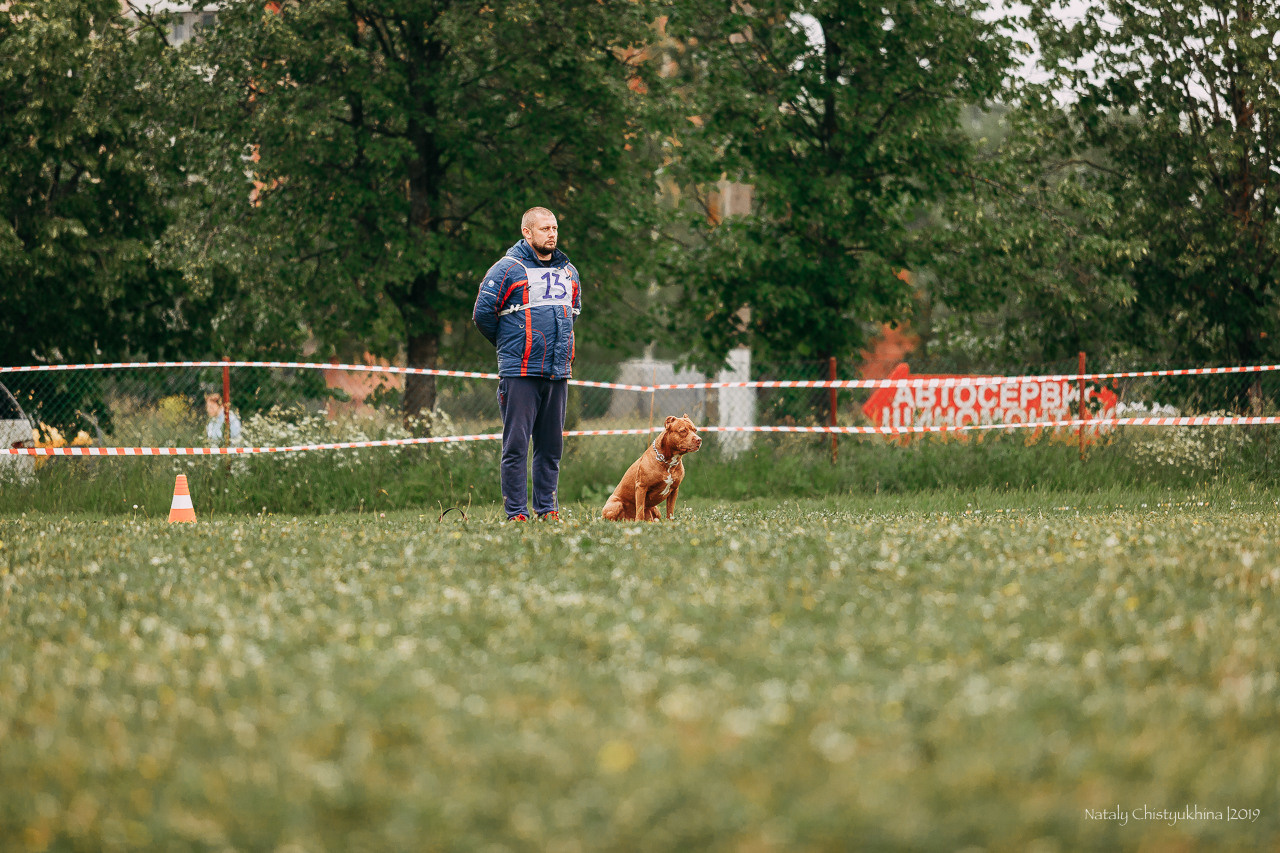 Соревнования БРР. Фотограф-анималист Наталия Чистюхина в г. Сосновый Бор и ЛО