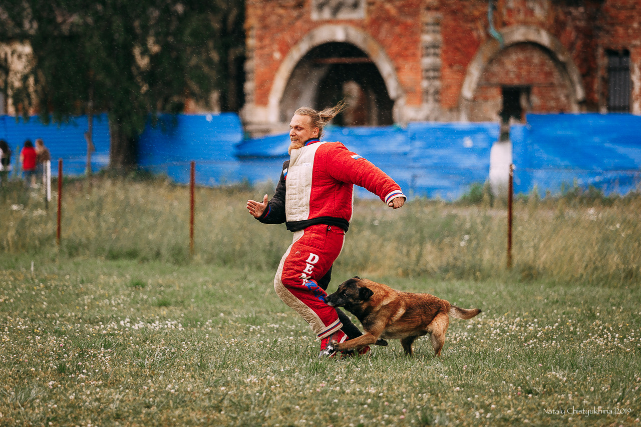 Соревнования по мондьорингу. Фотограф-анималист Наталия Чистюхина в г. Сосновый Бор и ЛО