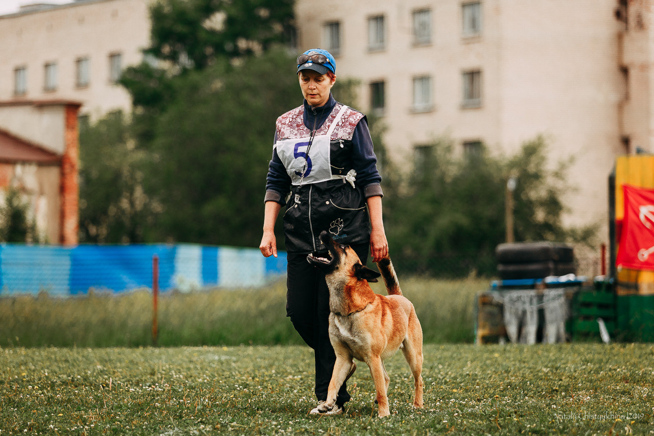 Соревнования БРР. Фотограф-анималист Наталия Чистюхина в г. Сосновый Бор и ЛО