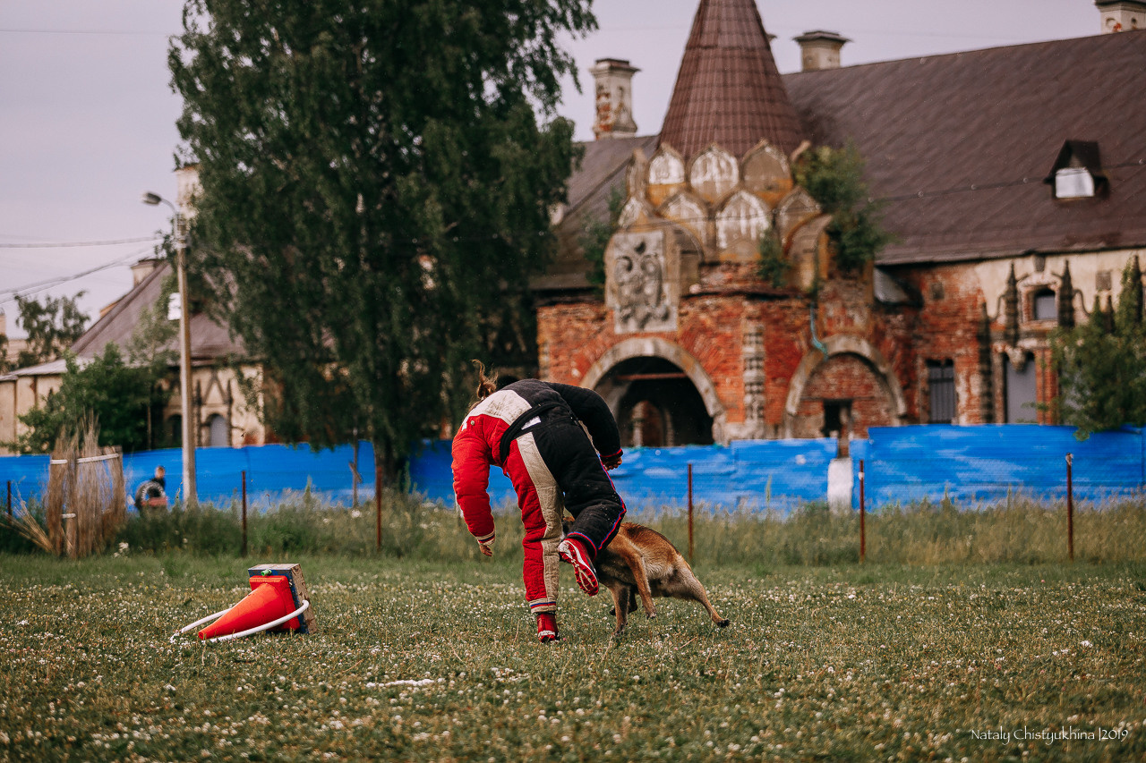 Соревнования по мондьорингу. Фотограф-анималист Наталия Чистюхина в г. Сосновый Бор и ЛО