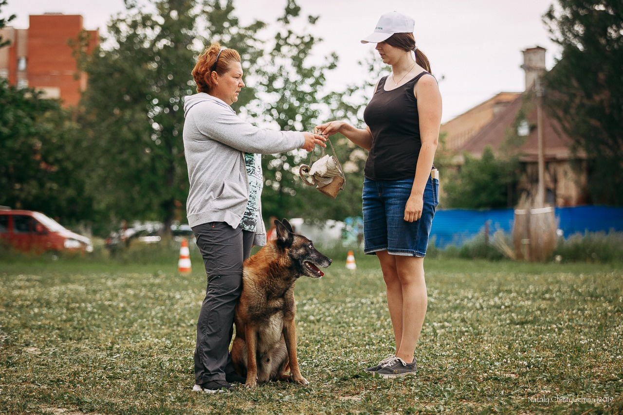 Соревнования по мондьорингу. Фотограф-анималист Наталия Чистюхина в г. Сосновый Бор и ЛО