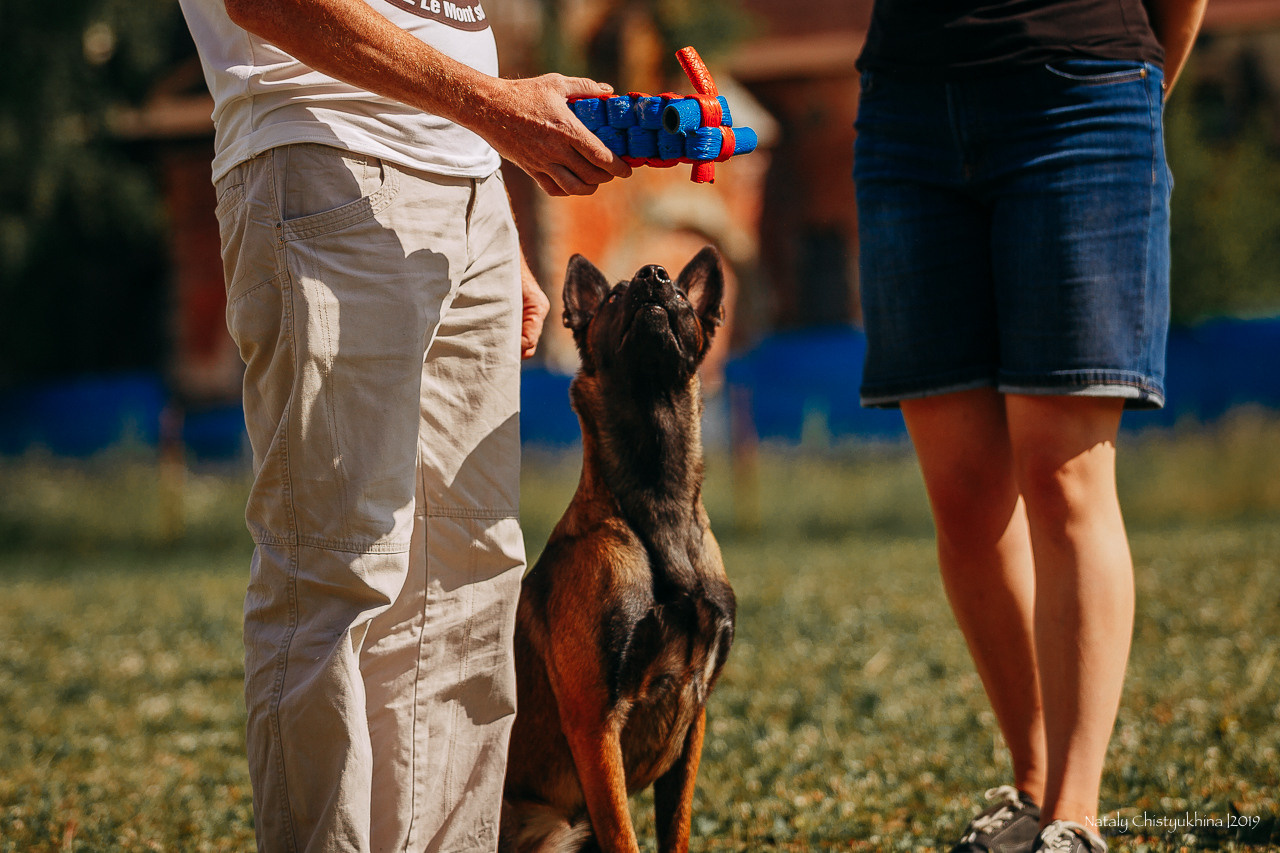 Соревнования по мондьорингу. Фотограф-анималист Наталия Чистюхина в г. Сосновый Бор и ЛО