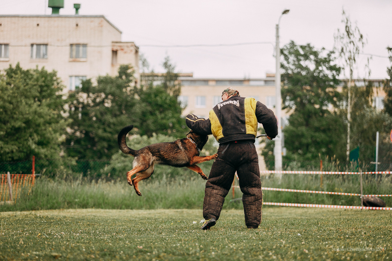 Соревнования БРР. Фотограф-анималист Наталия Чистюхина в г. Сосновый Бор и ЛО