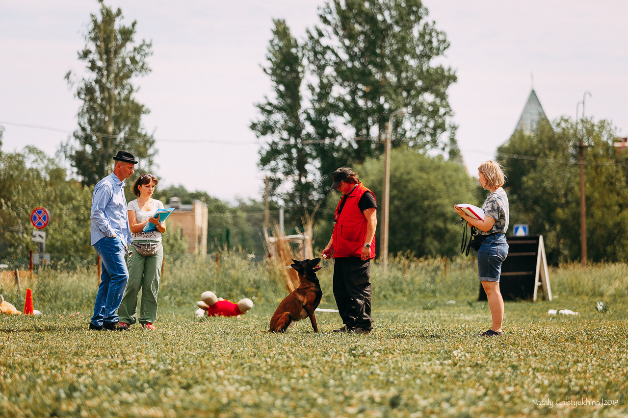 Соревнования по мондьорингу. Фотограф-анималист Наталия Чистюхина в г. Сосновый Бор и ЛО