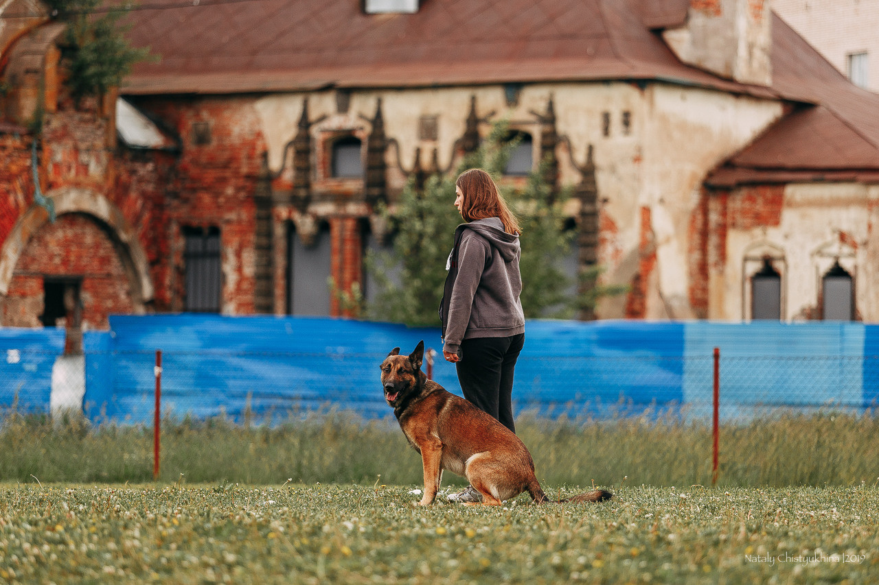 Соревнования БРР. Фотограф-анималист Наталия Чистюхина в г. Сосновый Бор и ЛО