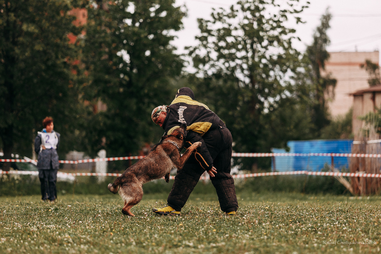 Соревнования БРР. Фотограф-анималист Наталия Чистюхина в г. Сосновый Бор и ЛО