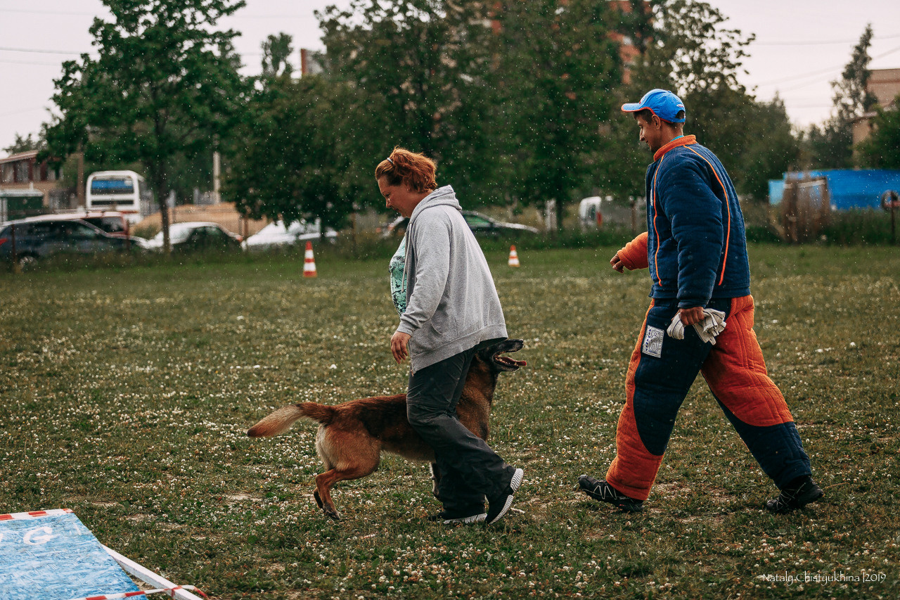 Соревнования по мондьорингу. Фотограф-анималист Наталия Чистюхина в г. Сосновый Бор и ЛО