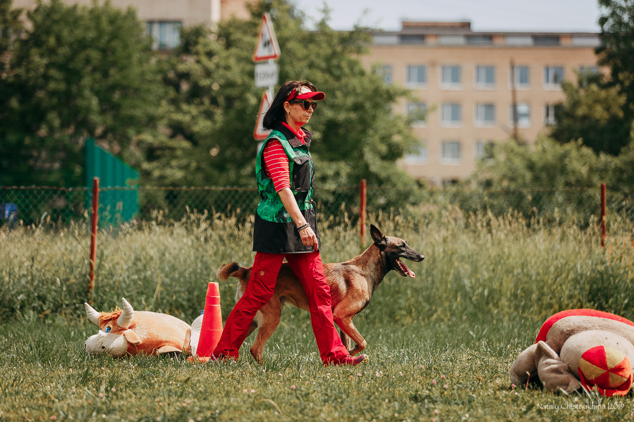 Соревнования по мондьорингу. Фотограф-анималист Наталия Чистюхина в г. Сосновый Бор и ЛО