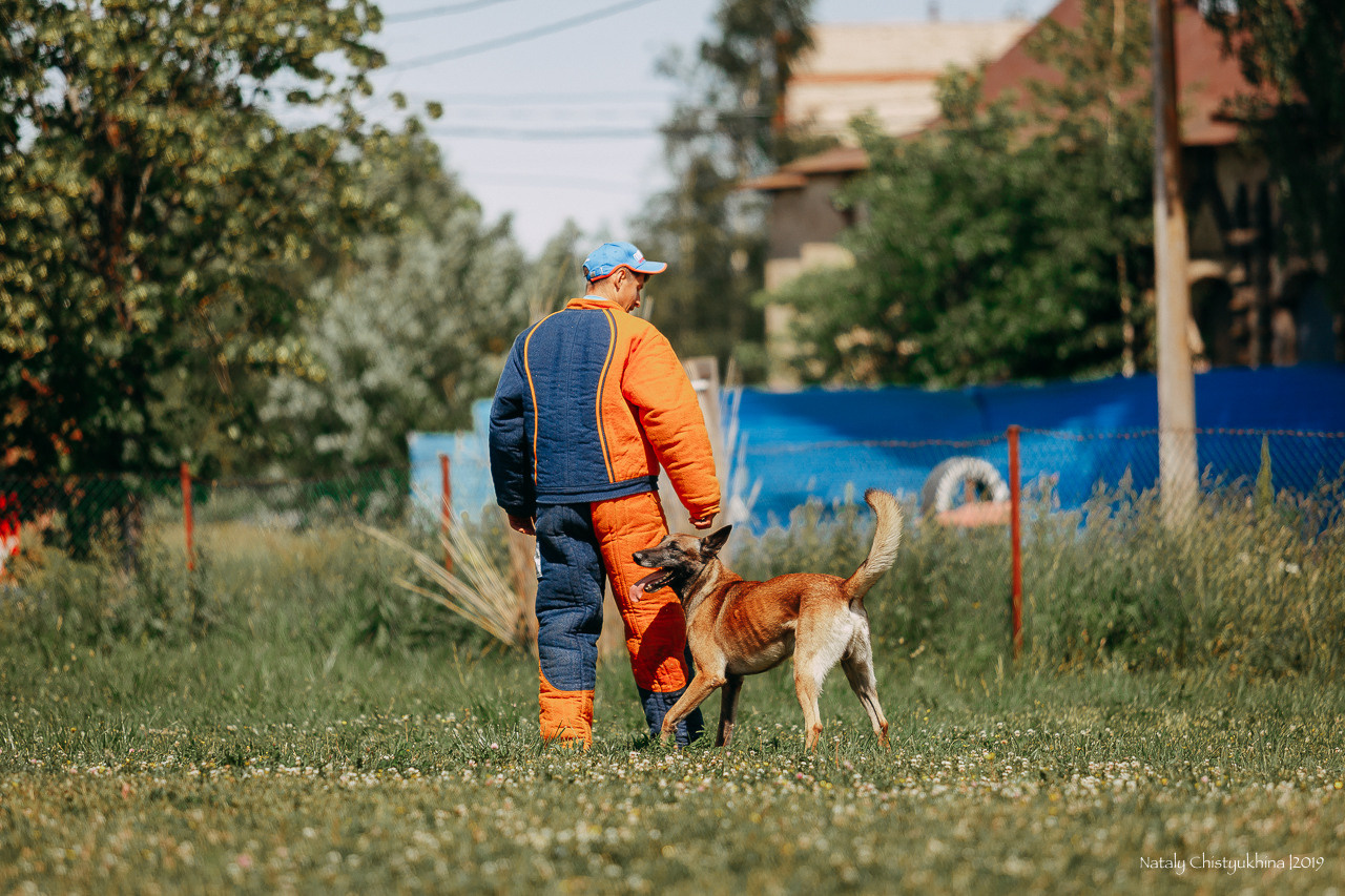 Соревнования по мондьорингу. Фотограф-анималист Наталия Чистюхина в г. Сосновый Бор и ЛО