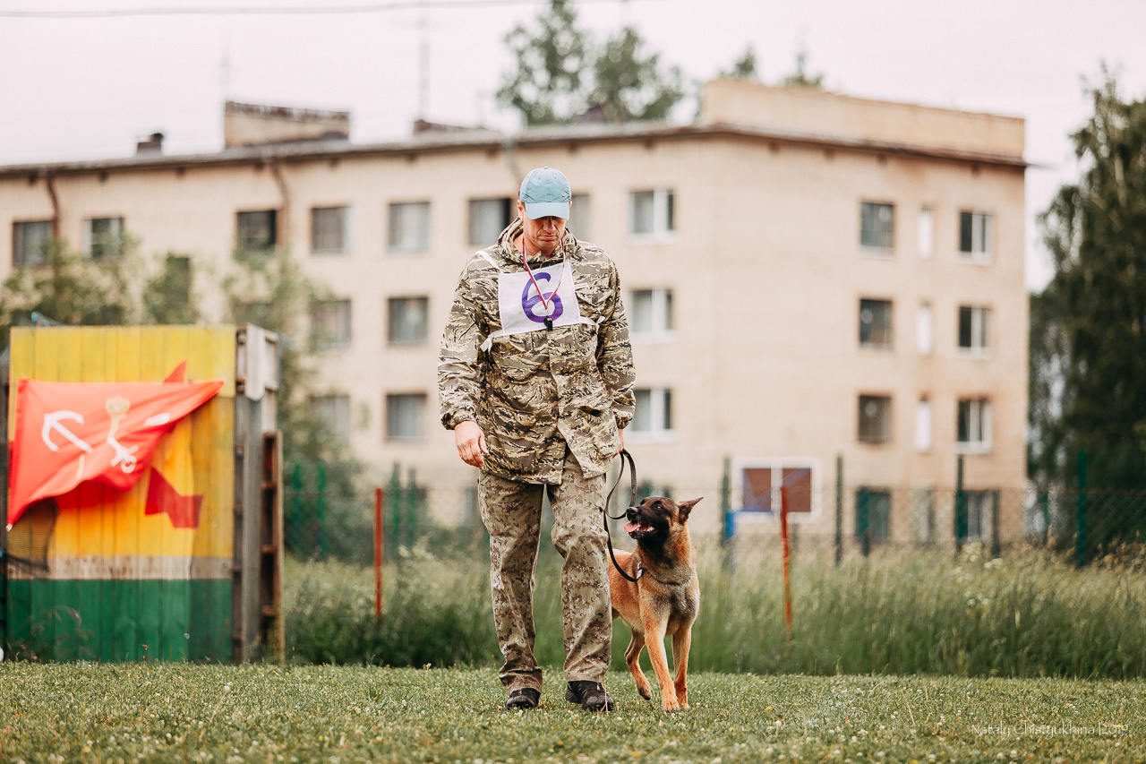 Соревнования БРР. Фотограф-анималист Наталия Чистюхина в г. Сосновый Бор и ЛО