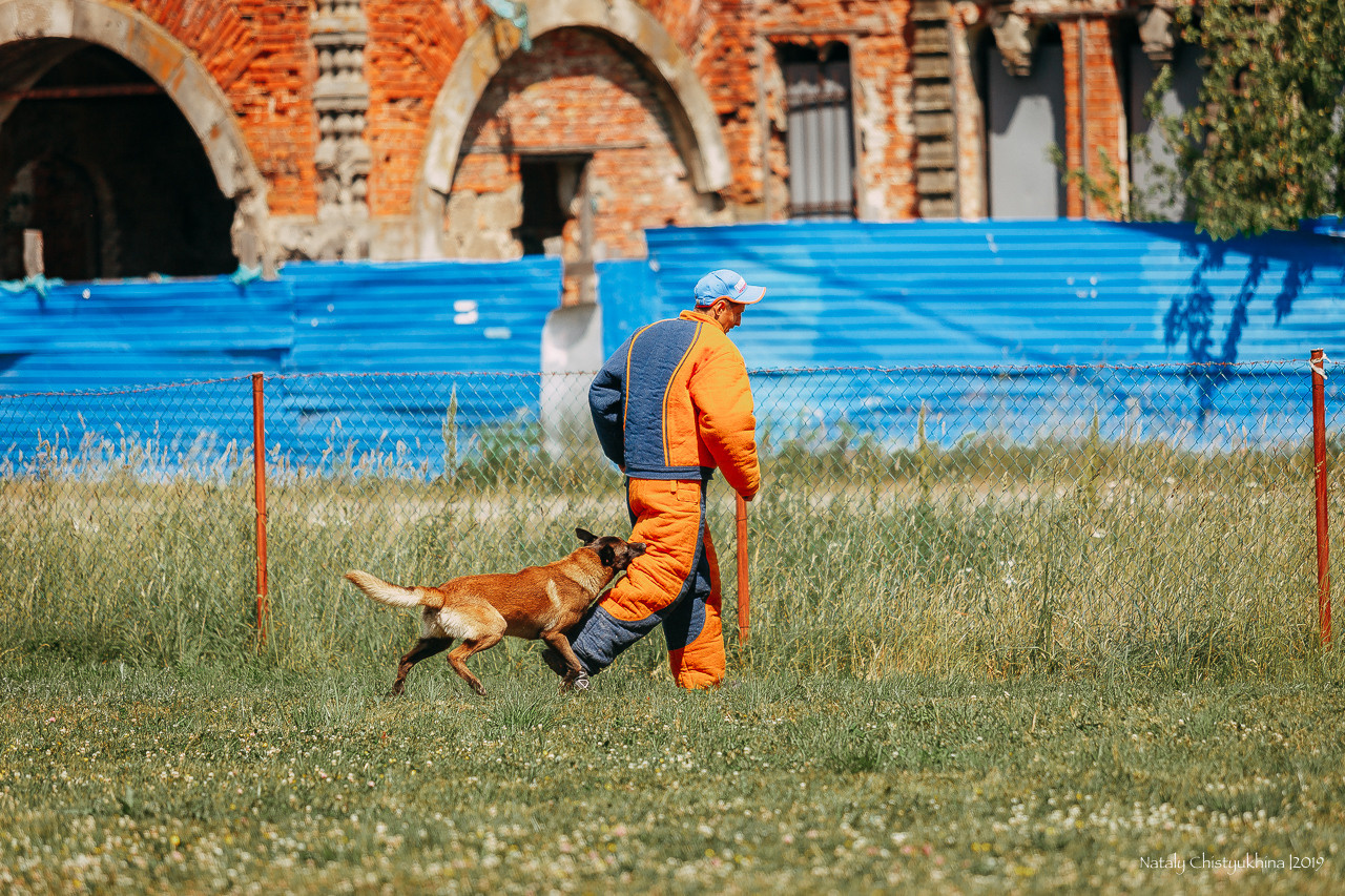 Соревнования по мондьорингу. Фотограф-анималист Наталия Чистюхина в г. Сосновый Бор и ЛО