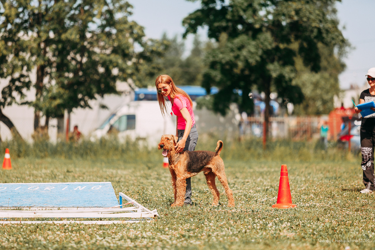 Соревнования по мондьорингу. Фотограф-анималист Наталия Чистюхина в г. Сосновый Бор и ЛО