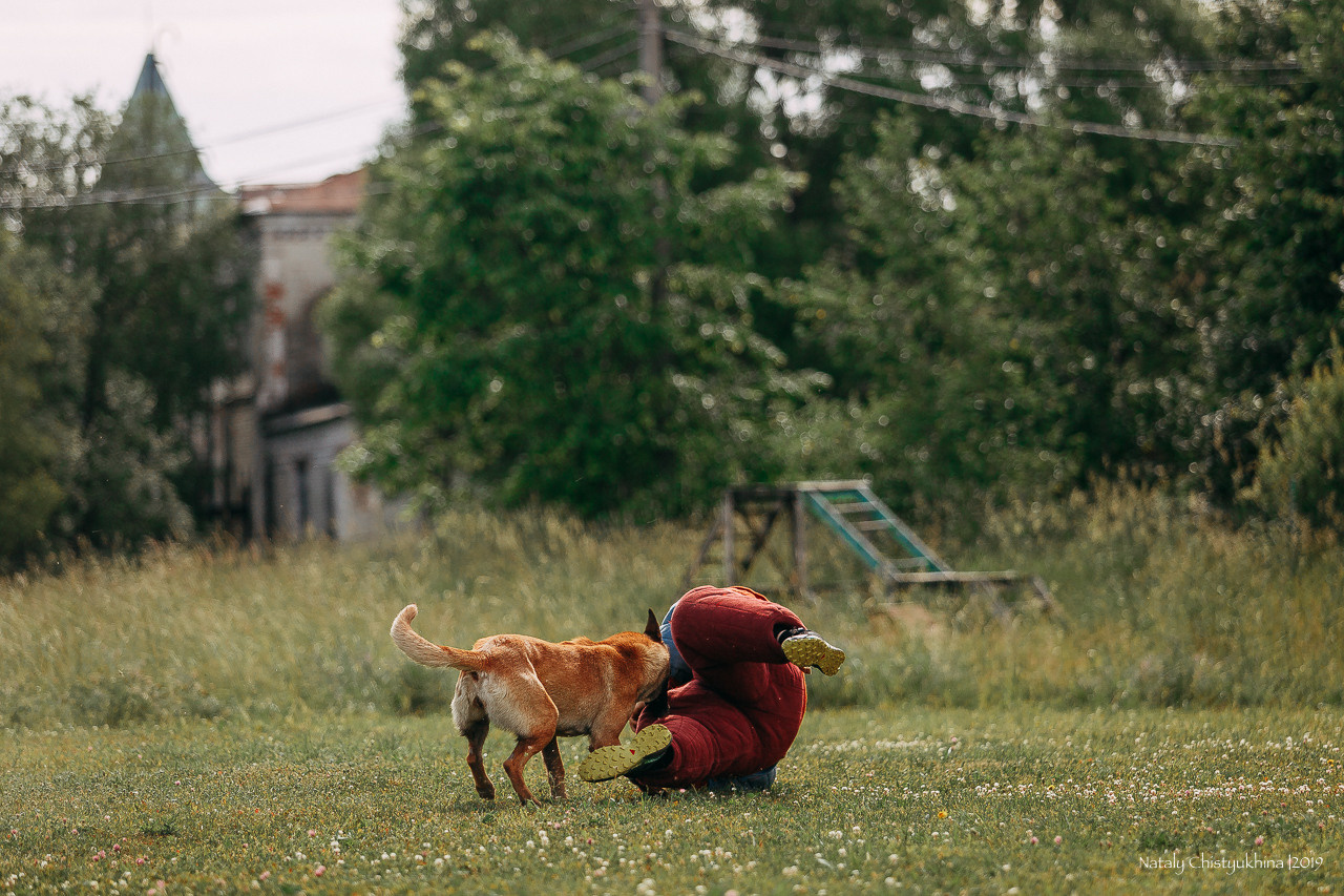 Соревнования по мондьорингу. Фотограф-анималист Наталия Чистюхина в г. Сосновый Бор и ЛО