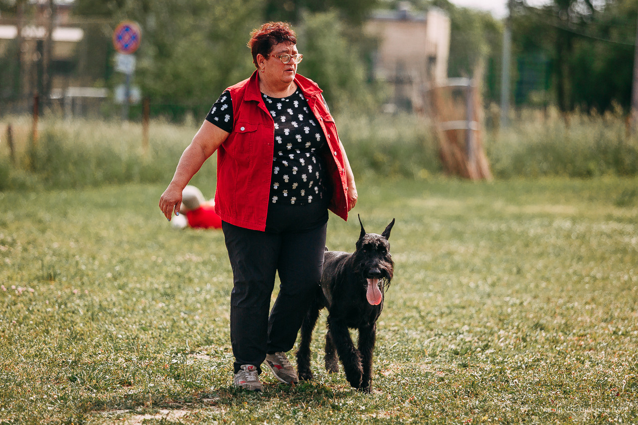 Соревнования по мондьорингу. Фотограф-анималист Наталия Чистюхина в г. Сосновый Бор и ЛО