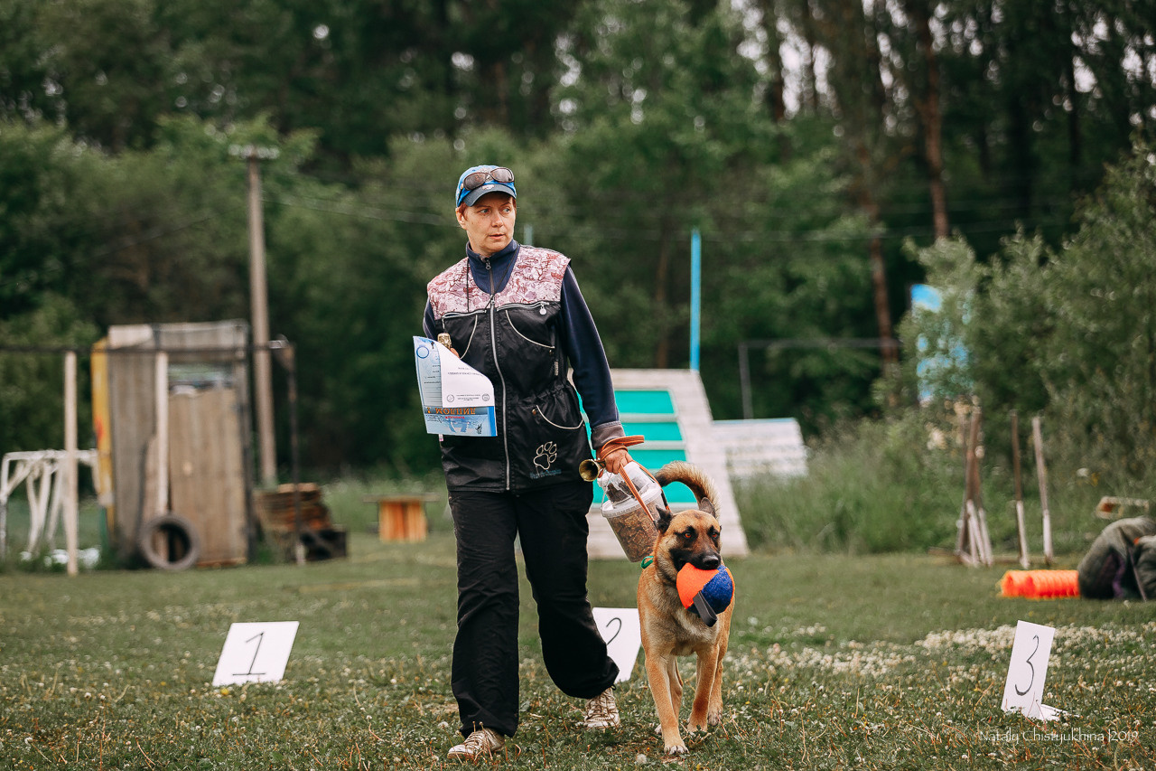 Соревнования БРР. Фотограф-анималист Наталия Чистюхина в г. Сосновый Бор и ЛО