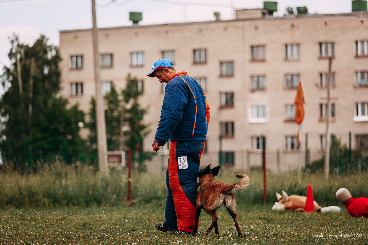 Соревнования по мондьорингу. Фотограф-анималист Наталия Чистюхина в г. Сосновый Бор и ЛО