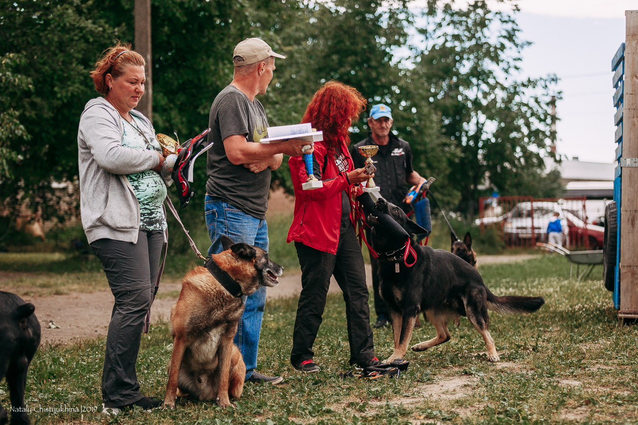 Соревнования по мондьорингу. Фотограф-анималист Наталия Чистюхина в г. Сосновый Бор и ЛО