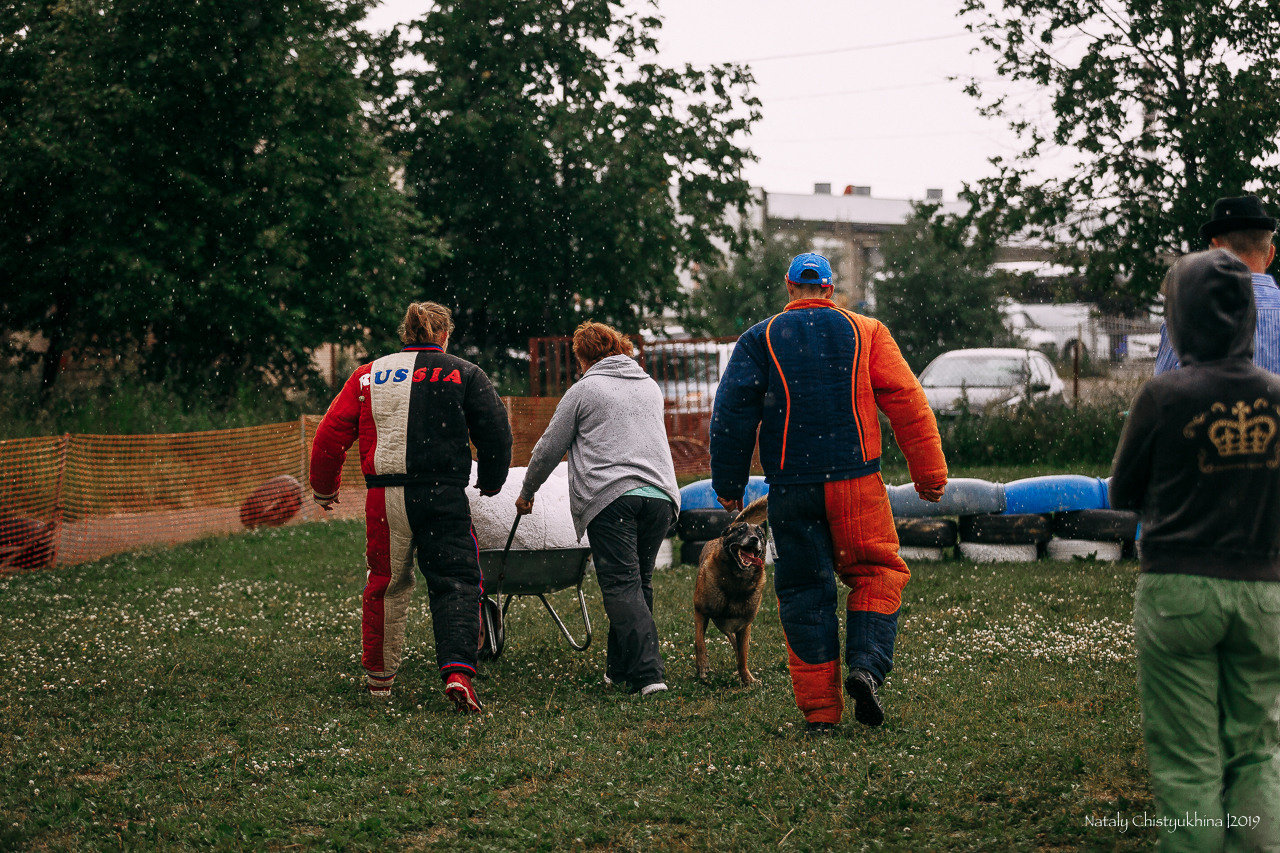 Соревнования по мондьорингу. Фотограф-анималист Наталия Чистюхина в г. Сосновый Бор и ЛО