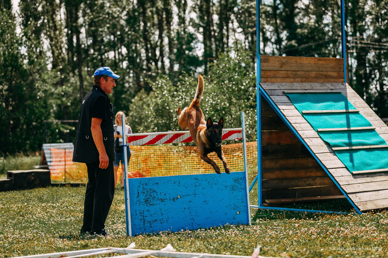 Соревнования по мондьорингу. Фотограф-анималист Наталия Чистюхина в г. Сосновый Бор и ЛО