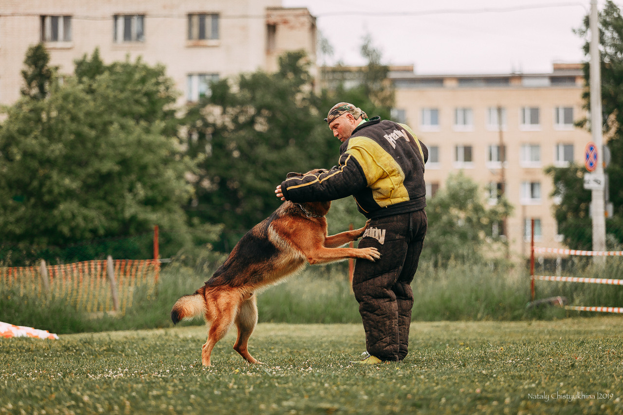 Соревнования БРР. Фотограф-анималист Наталия Чистюхина в г. Сосновый Бор и ЛО