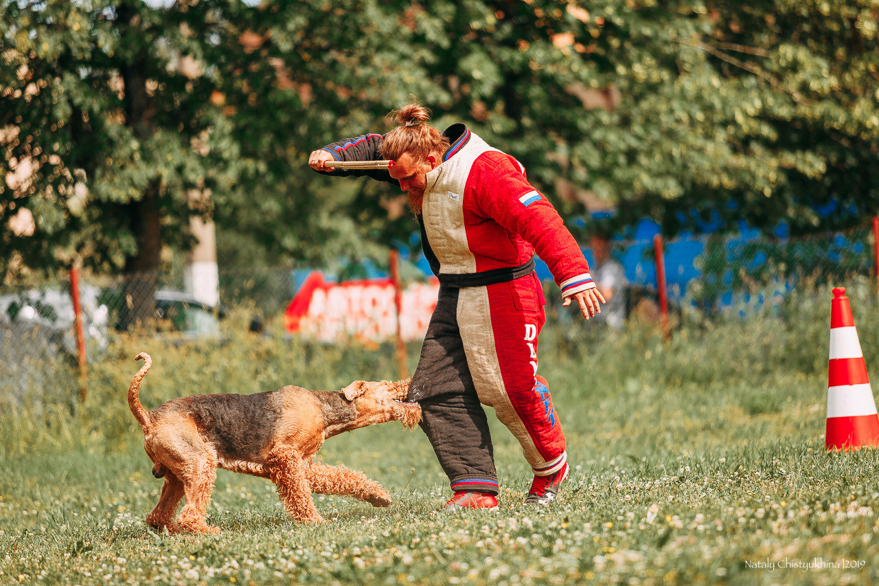 Соревнования по мондьорингу. Фотограф-анималист Наталия Чистюхина в г. Сосновый Бор и ЛО