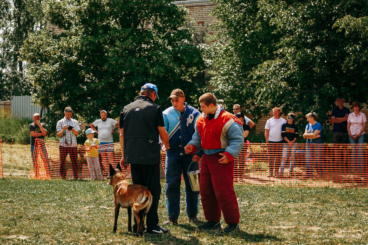 Соревнования по мондьорингу. Фотограф-анималист Наталия Чистюхина в г. Сосновый Бор и ЛО