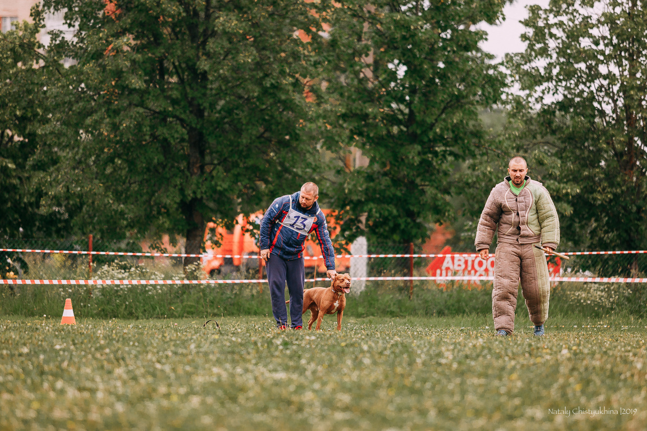 Соревнования БРР. Фотограф-анималист Наталия Чистюхина в г. Сосновый Бор и ЛО