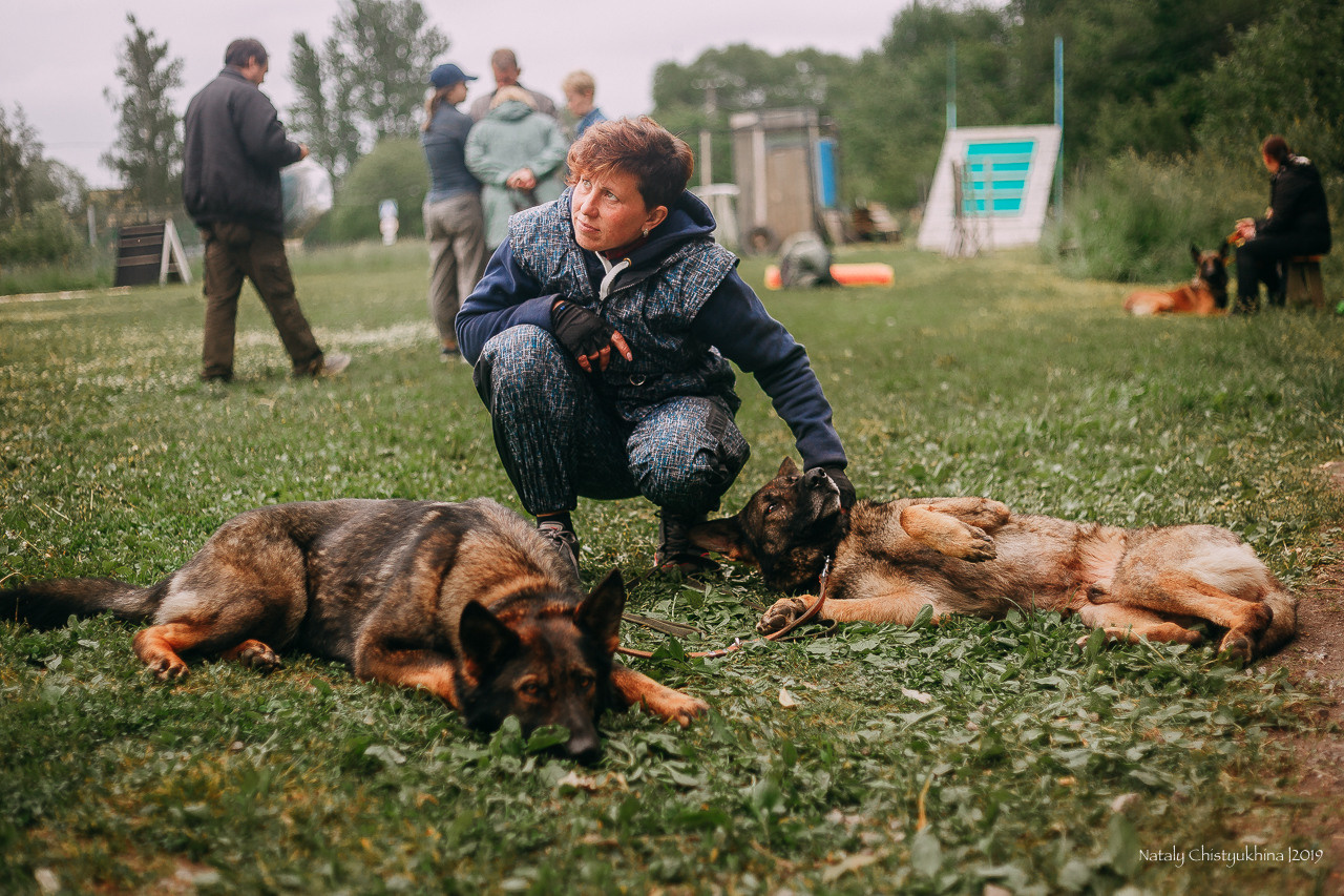 Соревнования БРР. Фотограф-анималист Наталия Чистюхина в г. Сосновый Бор и ЛО