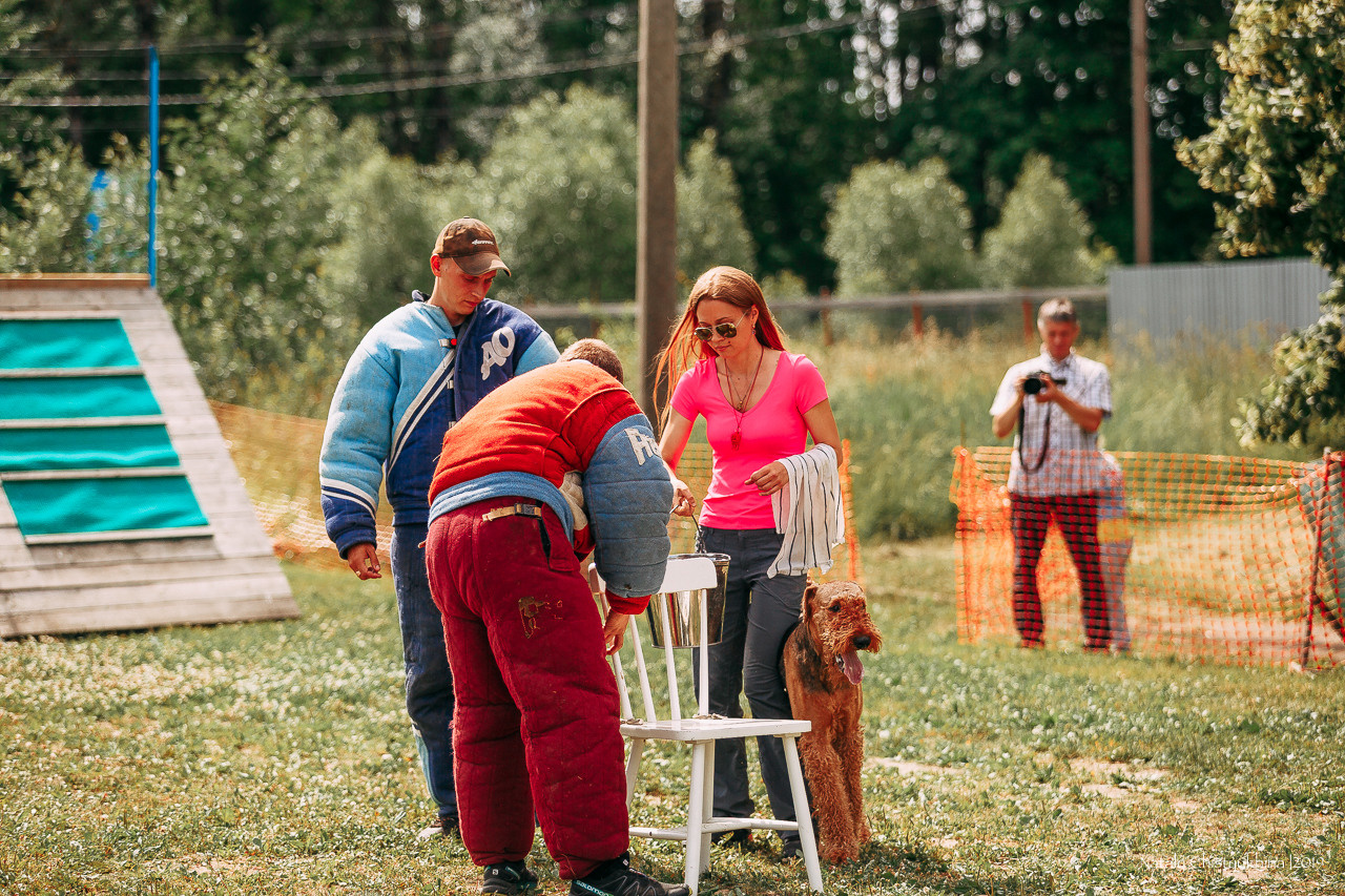 Соревнования по мондьорингу. Фотограф-анималист Наталия Чистюхина в г. Сосновый Бор и ЛО