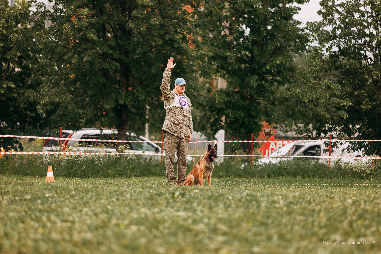 Соревнования БРР. Фотограф-анималист Наталия Чистюхина в г. Сосновый Бор и ЛО