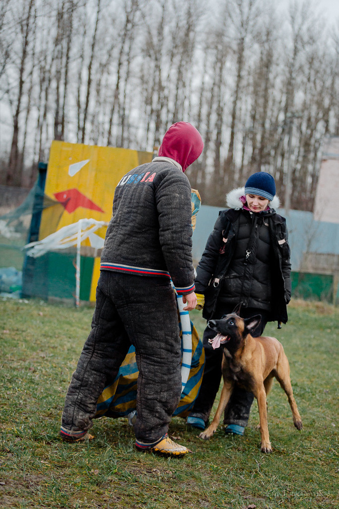 Семинары по мондио. Фотограф-анималист Наталия Чистюхина в г. Сосновый Бор и ЛО