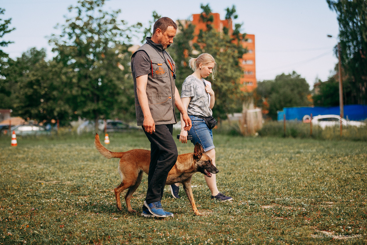Соревнования по мондьорингу. Фотограф-анималист Наталия Чистюхина в г. Сосновый Бор и ЛО