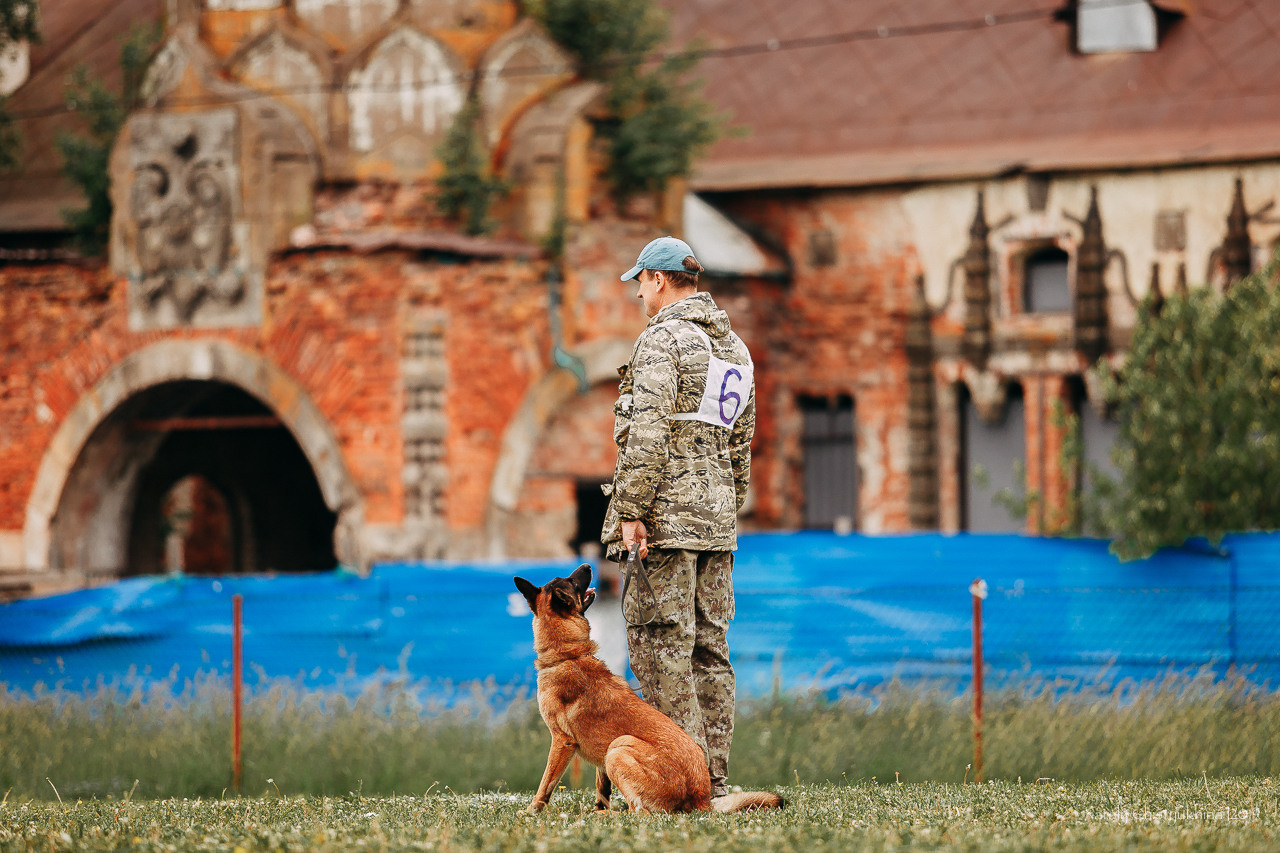 Соревнования БРР. Фотограф-анималист Наталия Чистюхина в г. Сосновый Бор и ЛО