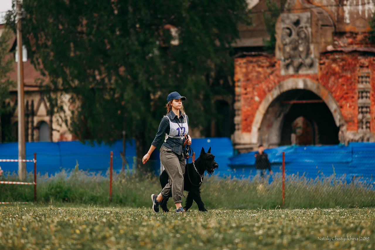 Соревнования БРР. Фотограф-анималист Наталия Чистюхина в г. Сосновый Бор и ЛО