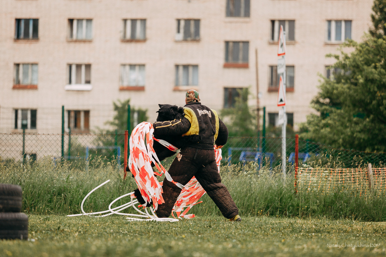 Соревнования БРР. Фотограф-анималист Наталия Чистюхина в г. Сосновый Бор и ЛО