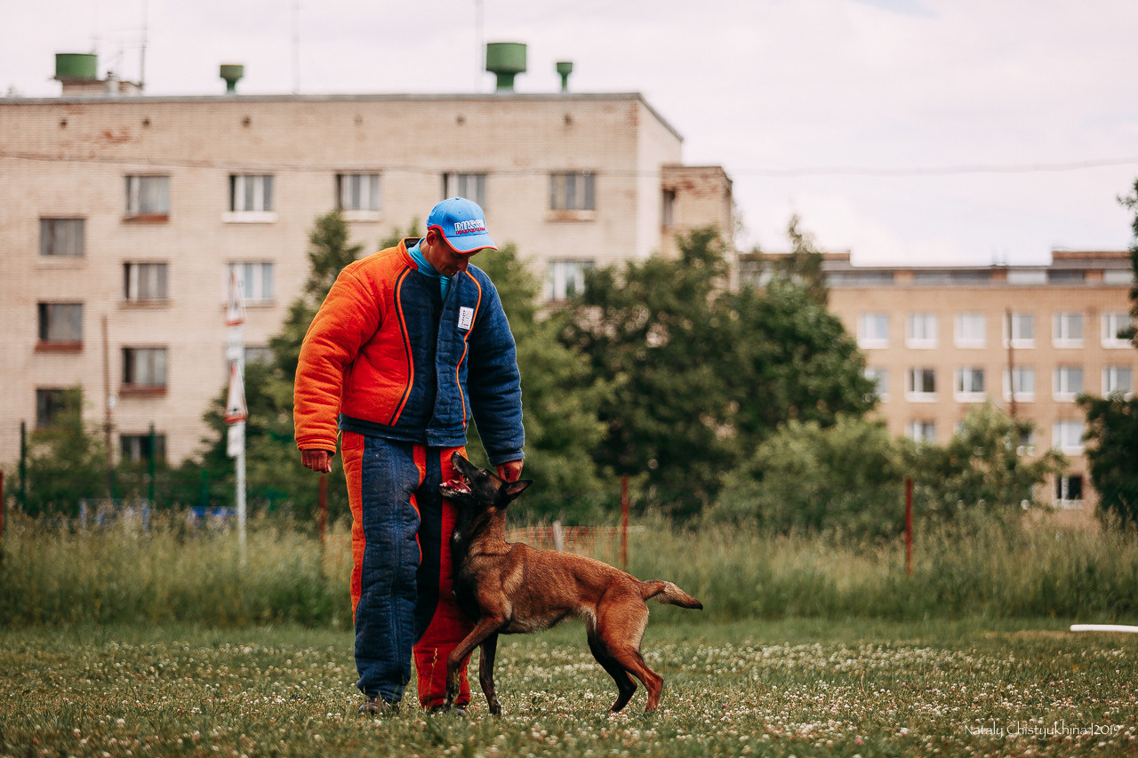 Соревнования по мондьорингу. Фотограф-анималист Наталия Чистюхина в г. Сосновый Бор и ЛО