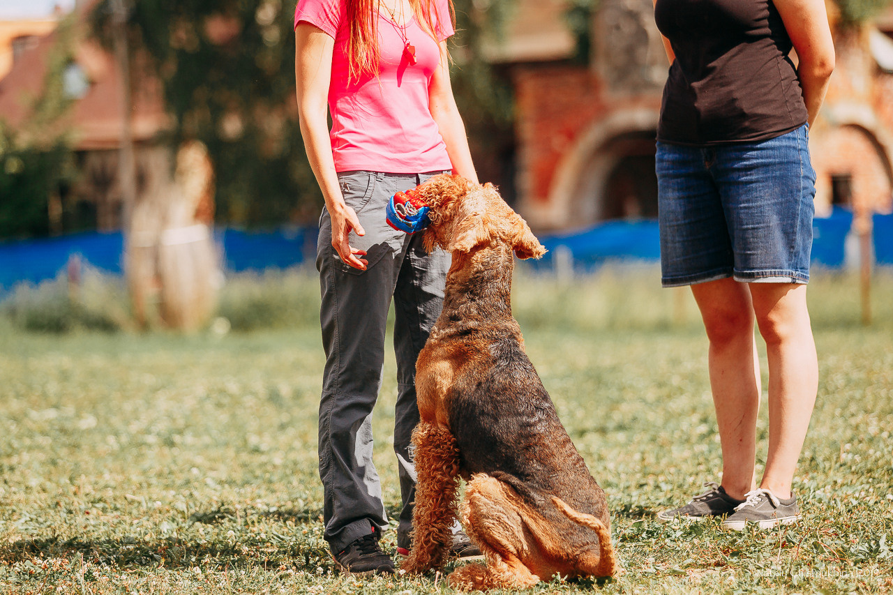 Соревнования по мондьорингу. Фотограф-анималист Наталия Чистюхина в г. Сосновый Бор и ЛО