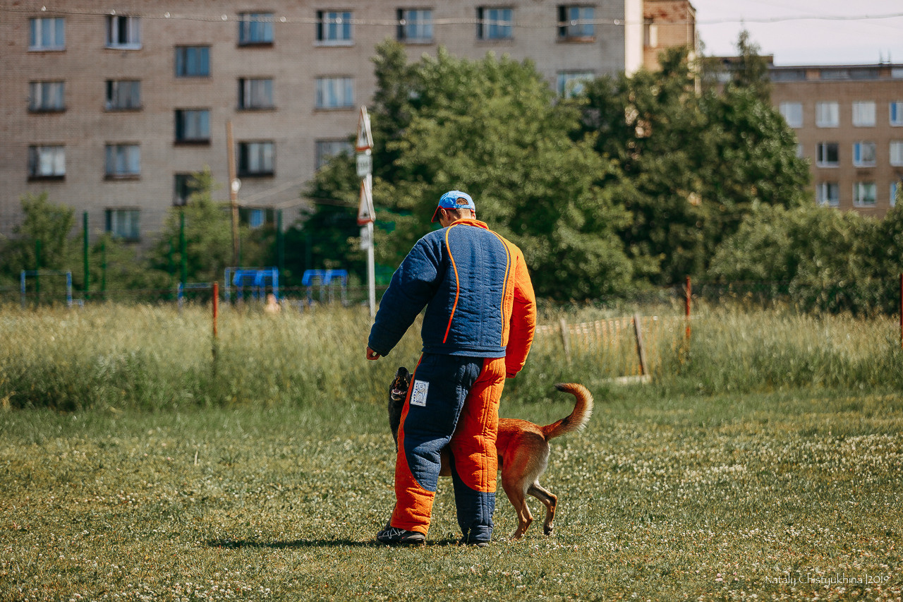 Соревнования по мондьорингу. Фотограф-анималист Наталия Чистюхина в г. Сосновый Бор и ЛО