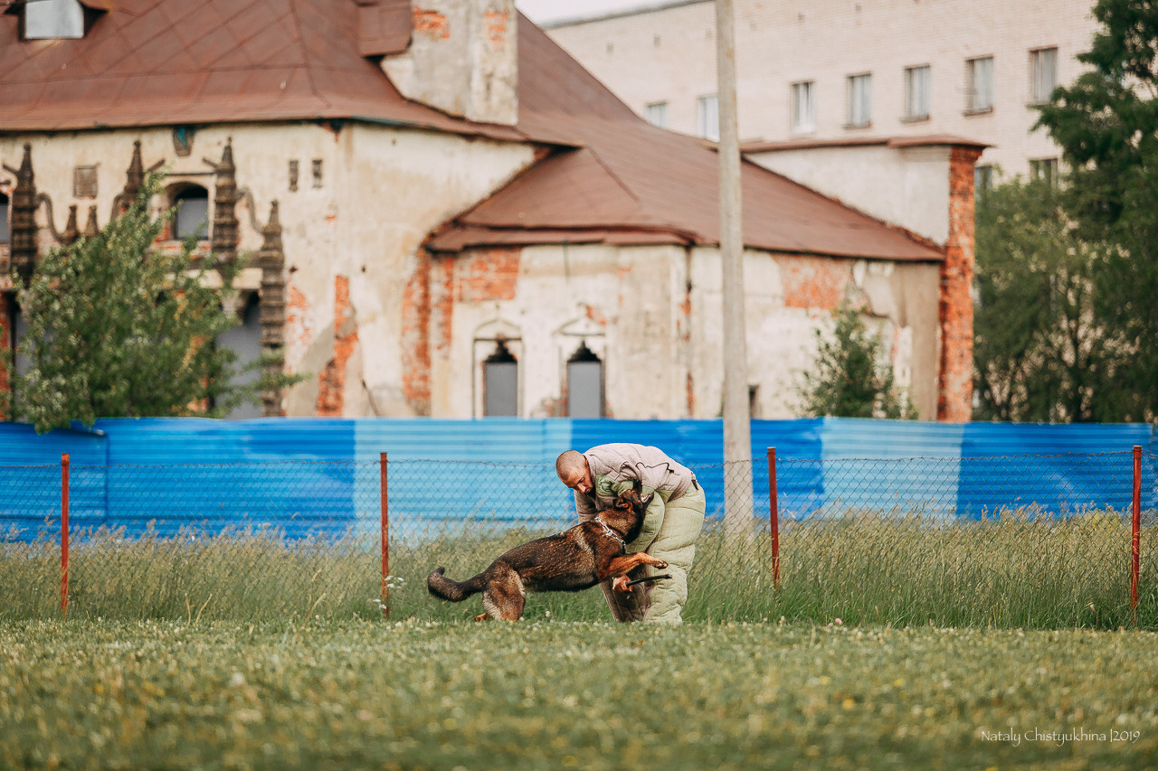 Соревнования БРР. Фотограф-анималист Наталия Чистюхина в г. Сосновый Бор и ЛО