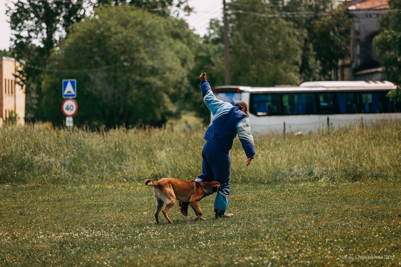 Соревнования по мондьорингу. Фотограф-анималист Наталия Чистюхина в г. Сосновый Бор и ЛО